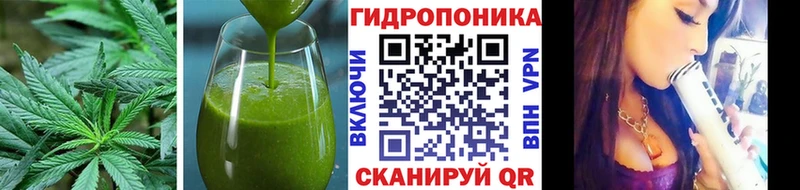 Canna-Cookies марихуана  Купить закладки  Моздок 