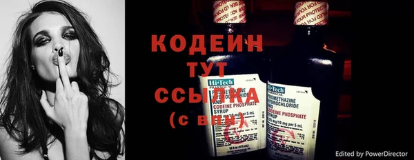 Альфа ПВП Инта
