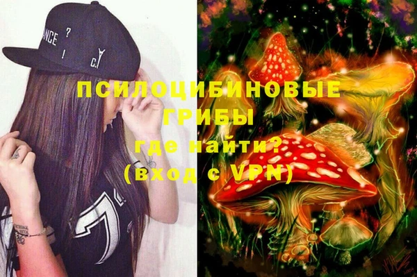 Альфа ПВП Инта