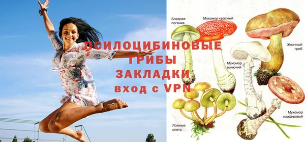 Альфа ПВП Инта