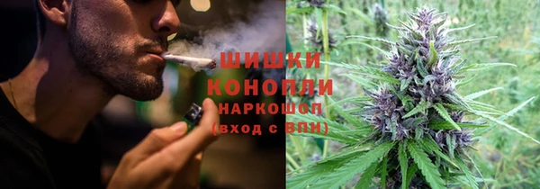 spice Иннополис