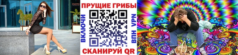 Купить закладки  Моздок  Псилоцибиновые грибы GOLDEN TEACHER 