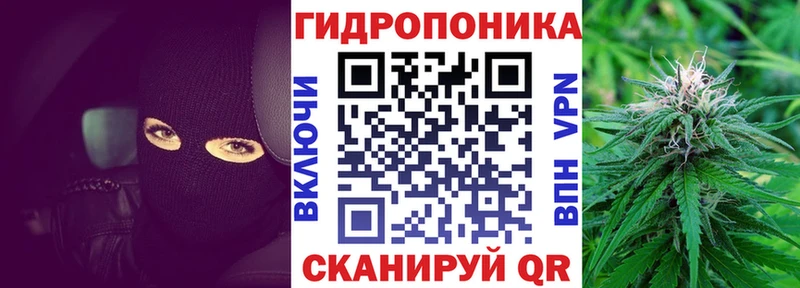 Купить закладки  Моздок  Марихуана сатива 
